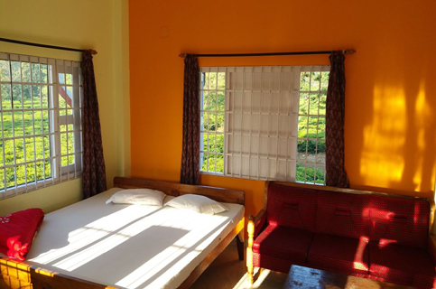 Image One