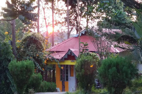 Image Five