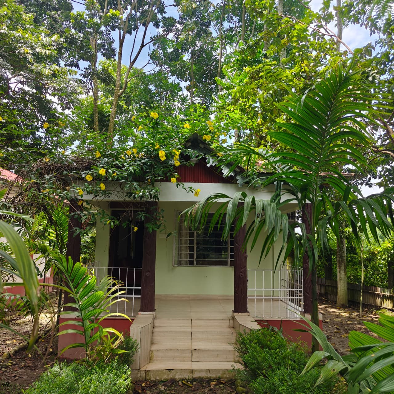 Greenlark Eco Resort gallery image 13
