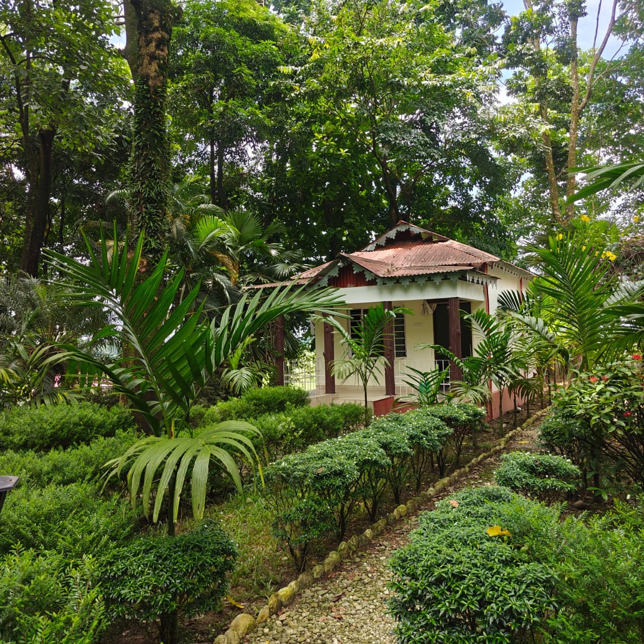 Greenlark Eco Resort gallery image 19