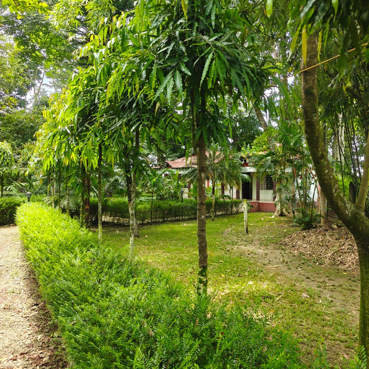 Greenlark Eco Resort gallery image 63