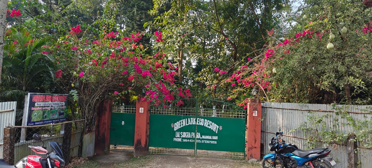 About Greenlark Eco Resort